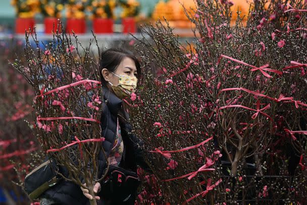 PHOTO: A woman buys plants and flowers on the opening day of the flower markets in Hong Kong on Jan. 16, 2023, ahead of the Lunar New Year of the Rabbit, which falls on Jan. 22. (Peter Parks/AFP via Getty Images)