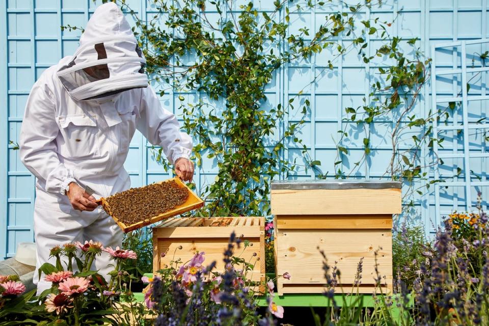 One Aldwych has its own beehives as well as a chemical-free swimming pool (One Aldwych hotel)