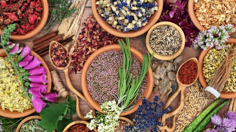 Variety of fresh and dried flowers