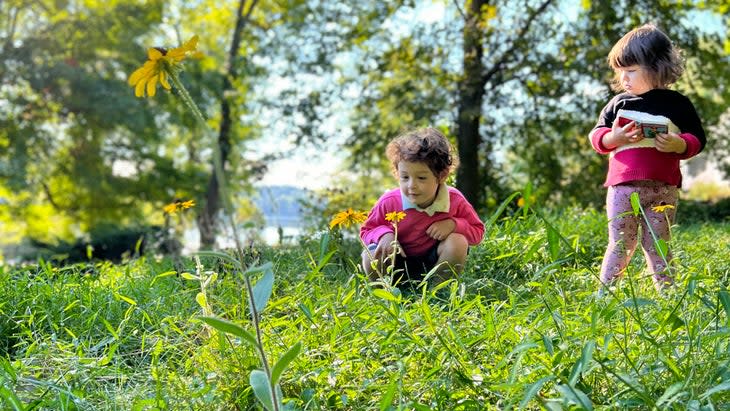 <span class="article__caption">The author’s pollinator-friendly backyard, and her children</span> (Photo: Courtesy Lauren Matison)