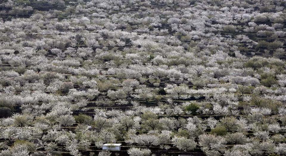 赫爾特山谷（Image Source : REUTERS/Nacho Doce (SPAIN)）