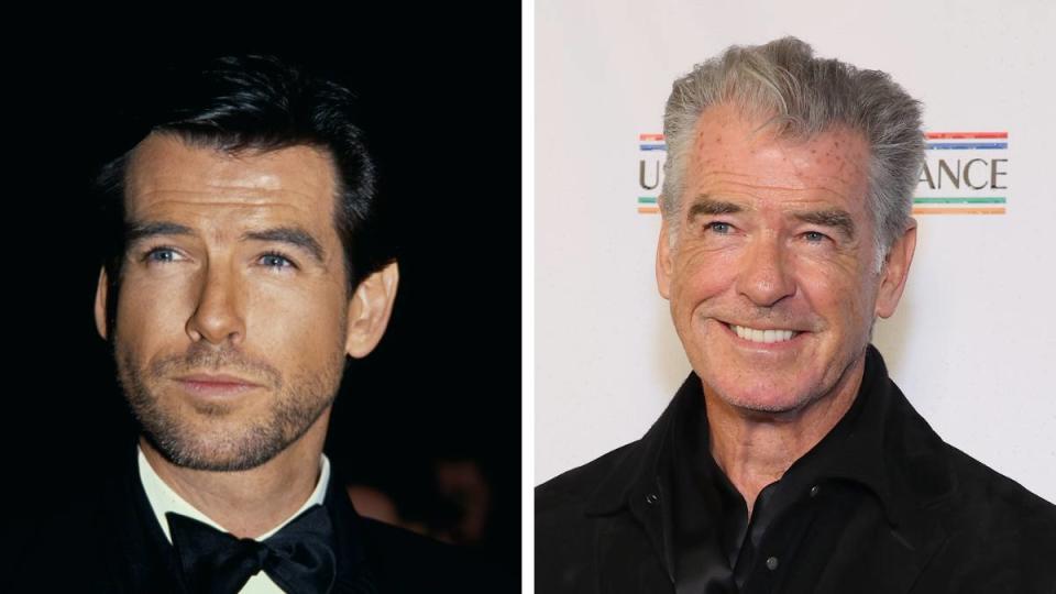 Pierce Brosnan; James bonds actors