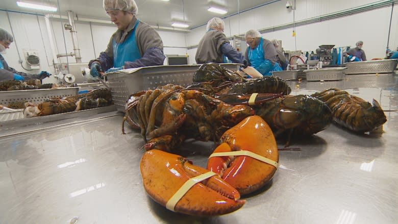 Amid uncertain NAFTA future, lobster industry looks to other markets