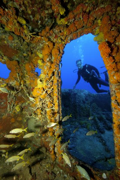 A diver at the U.S. Coast Guard cutter Duane, which was decommissioned in 1985 and intentionally sunk in 1987 off Key Largo, Fla., to create reef habitat. <a href="https://www.gettyimages.com/detail/photo/diver-on-shipwreck-royalty-free-image/109010339" rel="nofollow noopener" target="_blank" data-ylk="slk:Stephen Frink/The Image Bank via Getty Images;elm:context_link;itc:0;sec:content-canvas" class="link ">Stephen Frink/The Image Bank via Getty Images</a>