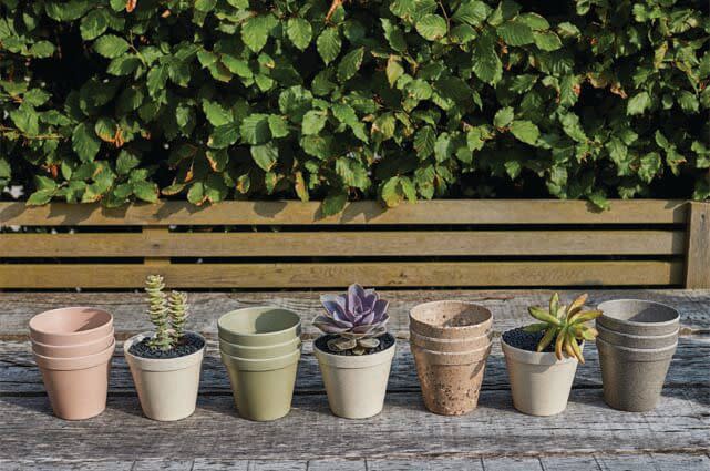 <p>These everyday pots are versatile enough to grow anything in, both indoor and out. They're made using agricultural waste, including coffee husk, mixed with plant fibres – this creates an advanced biodegradable composite. </p><p><a class="link " href="https://madewithhusk.co.uk/husk-pots/small-pot-set" rel="nofollow noopener" target="_blank" data-ylk="slk:BUY NOW;elm:context_link;itc:0;sec:content-canvas">BUY NOW</a> <strong>£9.99</strong></p>