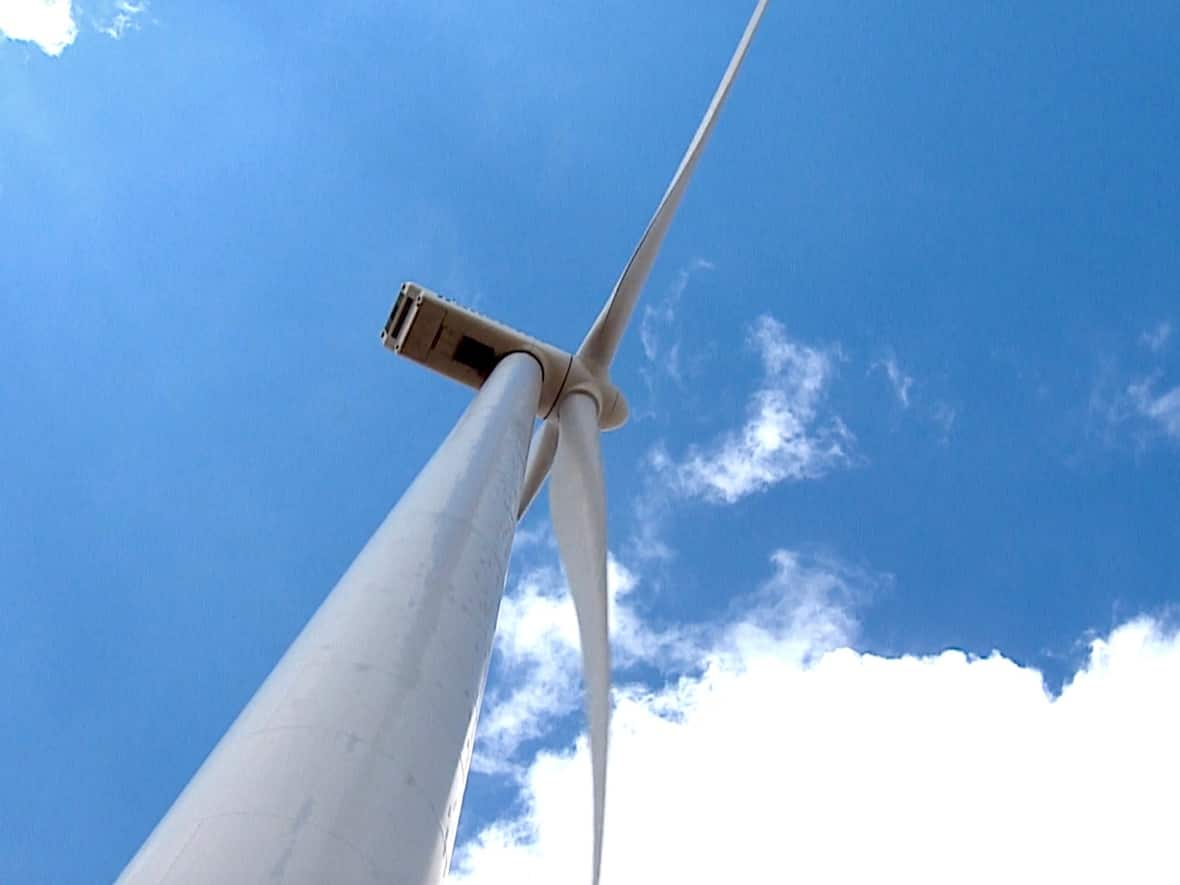 The Nova Scotia government is looking to see if the wind power industry is interested in putting offshore wind turbines in waters under provincial jurisdiction. (Kyle Bakx/CBC - image credit)