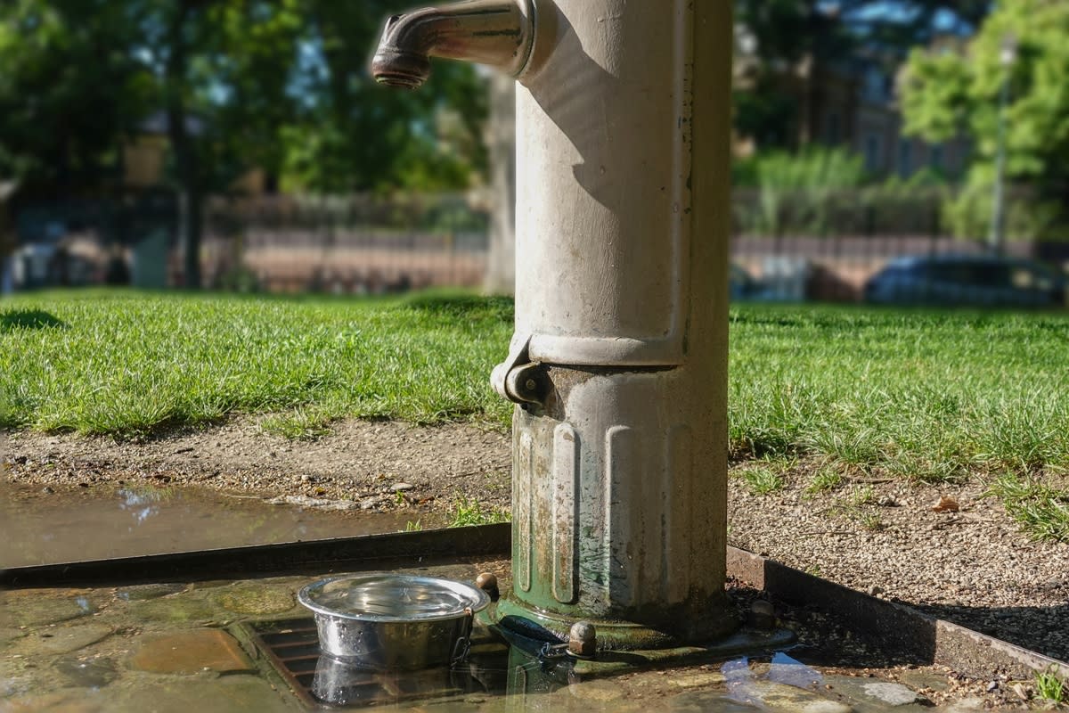 A water bowl at a dog park<p>irinacapel via Shutterstock</p>