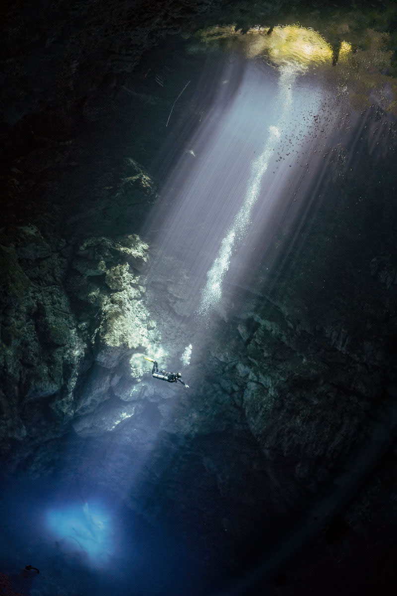 Beam me up! Beeindruckende Unterwasseraufnahmen