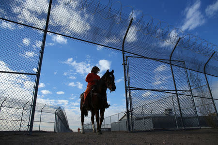 An inmate rides a wild horse as part of the Wild Horse Inmate Program ( WHIP) at Florence State Prison in Florence, Arizona, U.S., December 2, 2016. REUTERS/Mike Blake