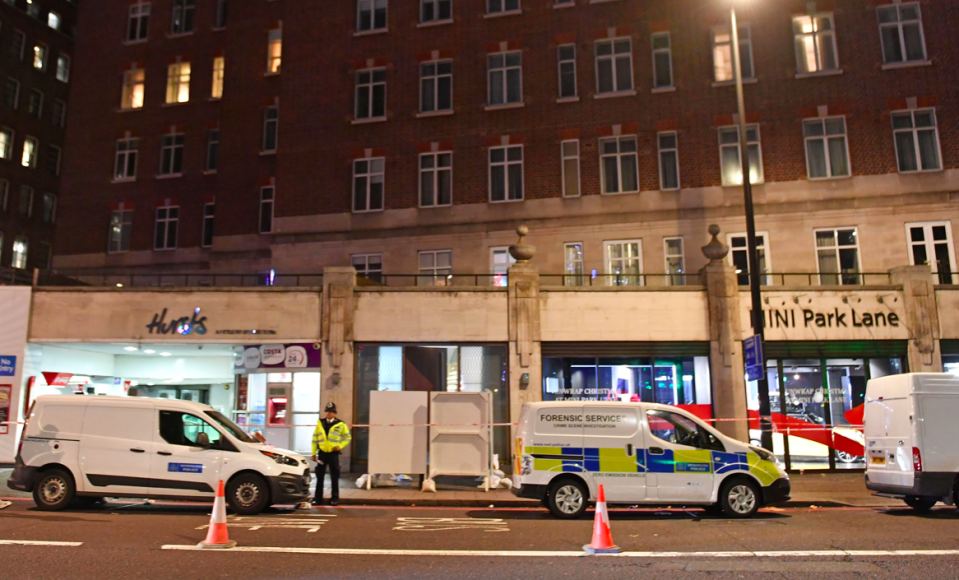 <em>Scotland Yard said that two other men, aged 37 and 29, and a 29-year-old woman were also stabbed in the incident on Park Lane (PA)</em>