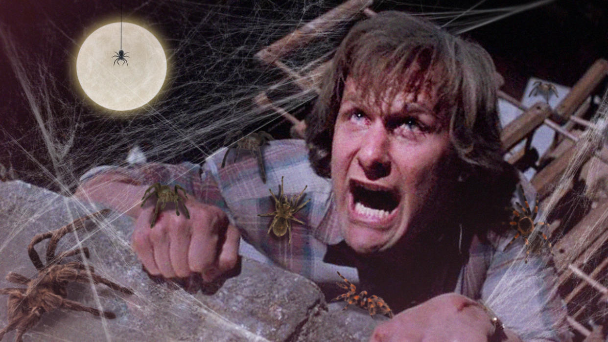  Jeff Daniels in Arachnophobia 