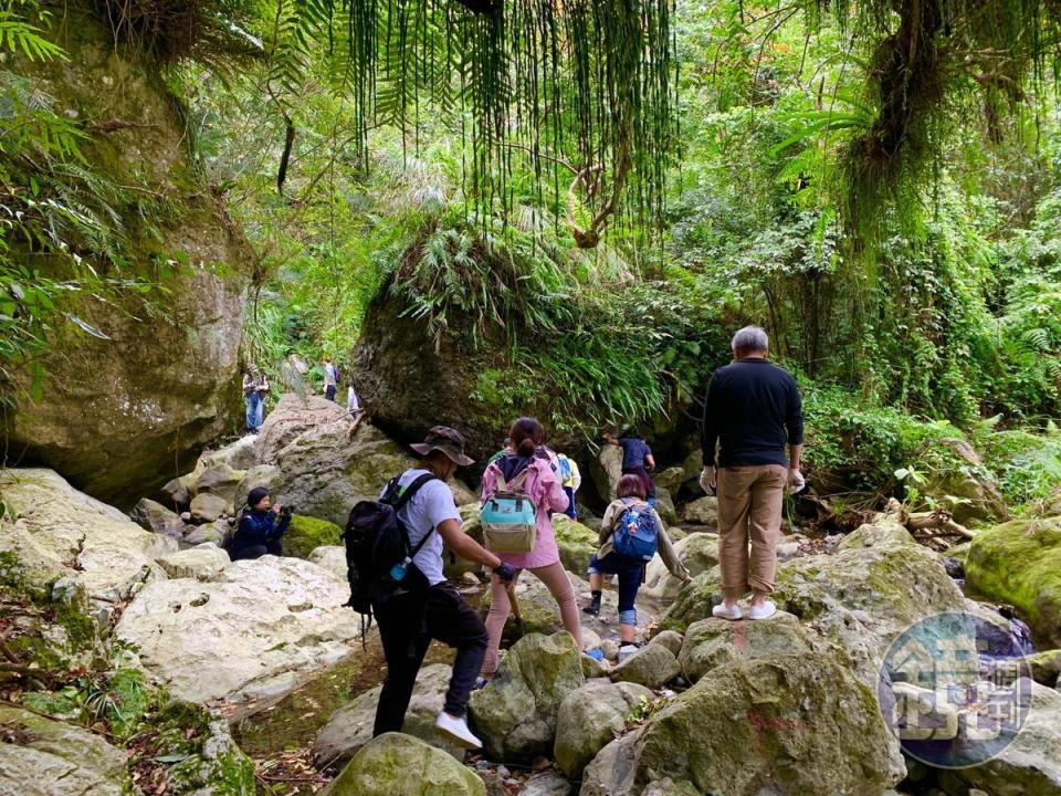 沿途導覽包含古道環境，動、植物生態。