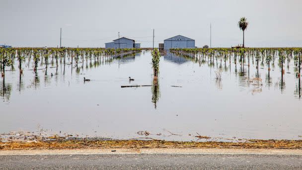 PHOTO: Flooded crops and farms are shown near Tulare Lake, in California's Central Valley, on June 6, 2023. (Citizen of the Planet via UIG via Getty Images)