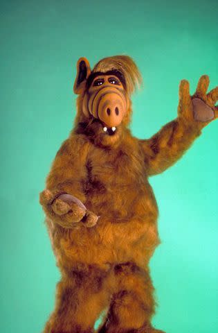 <p>Moviestore/Shutterstock</p> ALF