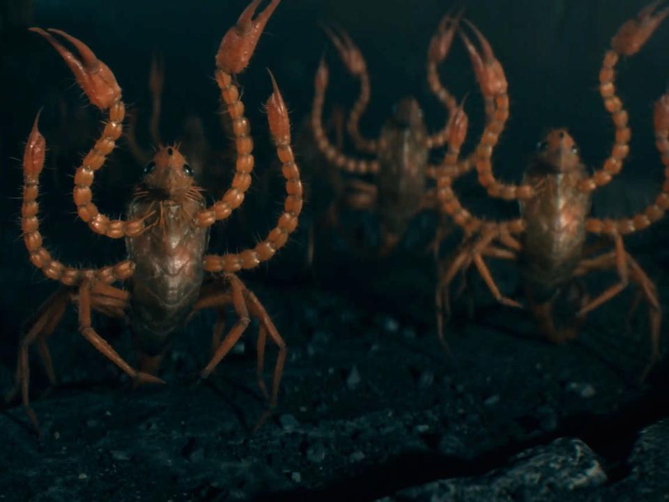 manticores in fantastic beasts the secrets of dumbledore — little crab like creatures that have multiple arms/legs protruding from their body, standing upright and raising their claws into the air