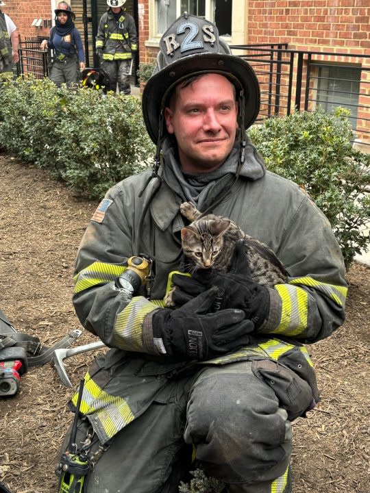 A cat was rescued from an apartment fire on Peabody Street. (Image courtesy of DC Fire and EMS)