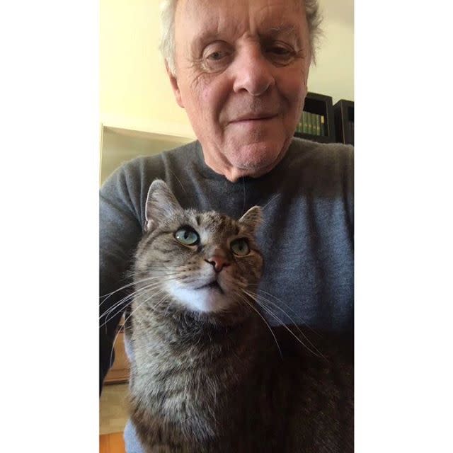 <p>The Oscar winning actor is self-isolating at home so took to playing the piano with his cat Niblo to pass the time.</p><p><a href="https://www.instagram.com/p/B94hZAshRxJ/" rel="nofollow noopener" target="_blank" data-ylk="slk:See the original post on Instagram;elm:context_link;itc:0;sec:content-canvas" class="link ">See the original post on Instagram</a></p>