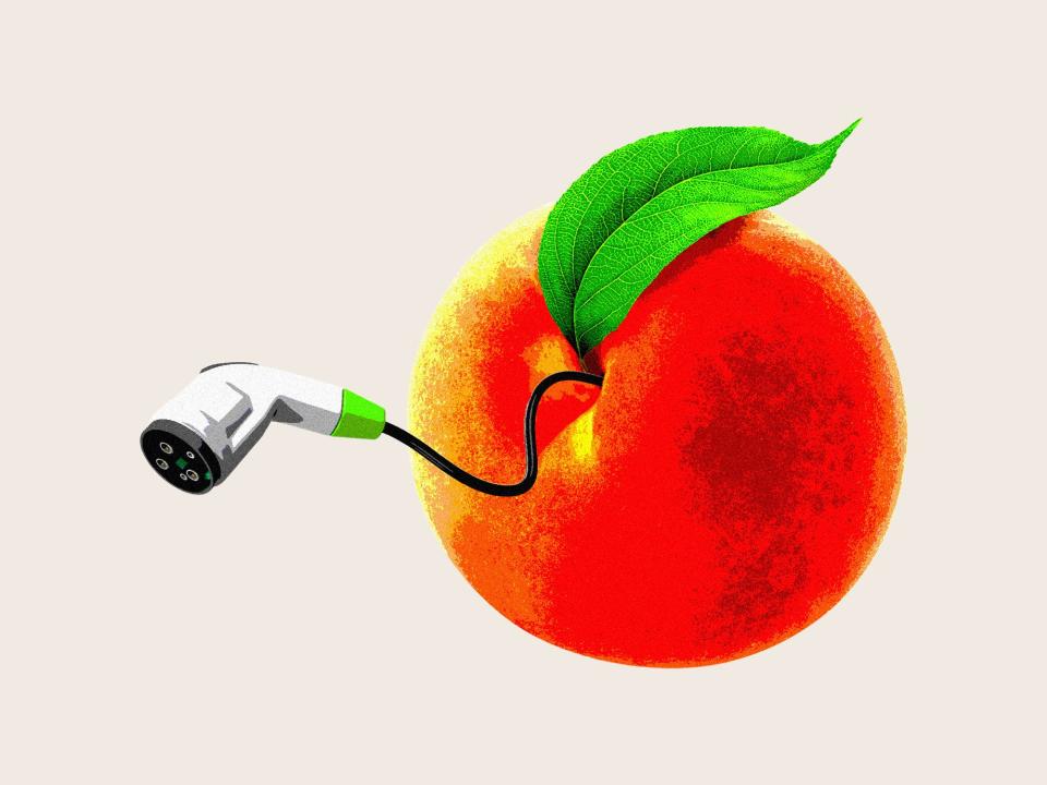 An EV charger coming out of a peach