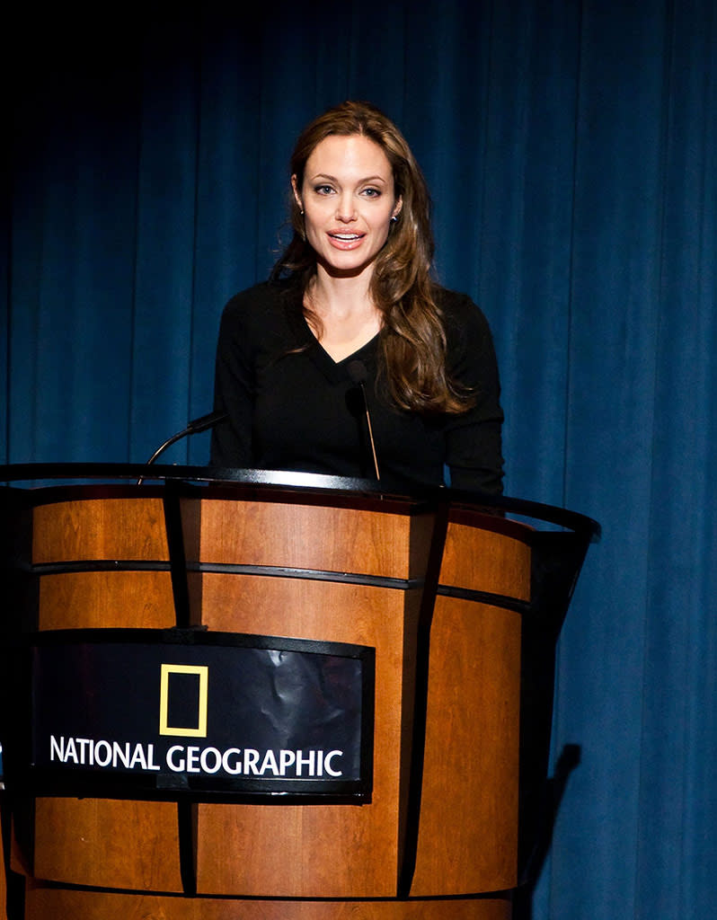 Jolie Angelina Goodwill Ambsdr