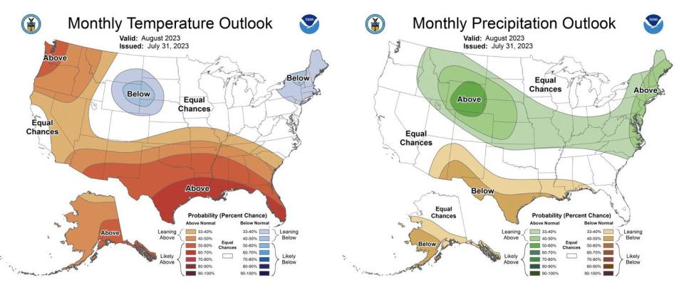 These maps show the long-range temperature (left) and precipitation (right) probabilities in the U.S. this August.