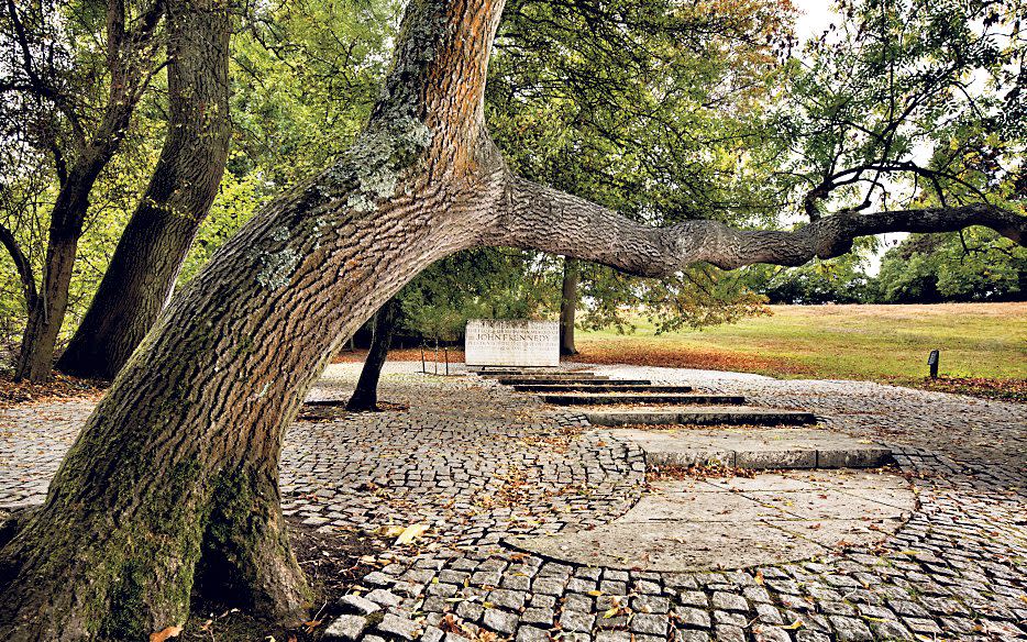 Kennedy Memorial landscape, Runnymede, Surrey. Newly added to the Register of Parks and Gardens at Grade II - Historic England 