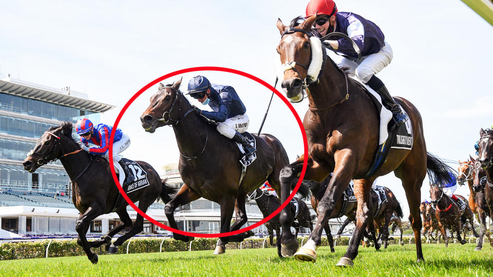 Kerrin McEvoy, pictured here riding Tiger Moth in the Melbourne Cup.