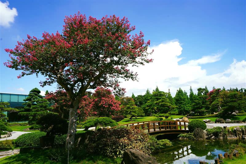 精緻的造景被網友喻為「台版兼六園」。（圖／成美文化園提供）