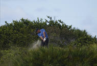 Bryson DeChambeau, of the United States, hits a second shot out of the rough at the 16th hole during the second round of the Hero World Challenge PGA Tour at the Albany Golf Club, in New Providence, Bahamas, Friday, Dec. 3, 2021.(AP Photo/Fernando Llano)