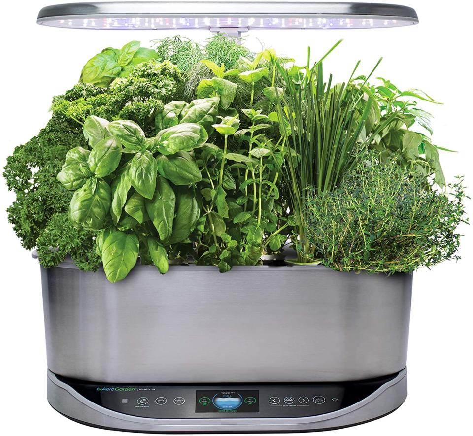 hydroponic gardens aerogarden bounty elite