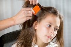 <span class="caption">To clean a metal nit comb, dip it in a bowl of soapy water, or wipe it with a paper towel after each swipe.</span> <span class="attribution"><span class="source">Shutterstock</span></span>