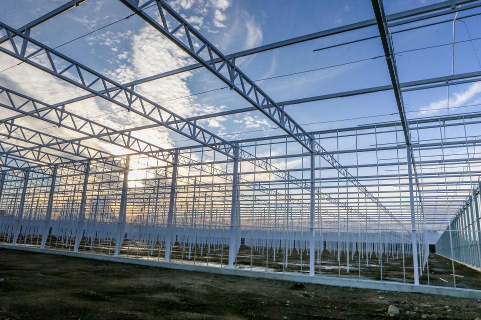The partially constructed metal framework for Tim Schartner's 25-acre, 1-million-square-foot hydroponic greenhouse awaits completion on the family's farmland in Exeter.
