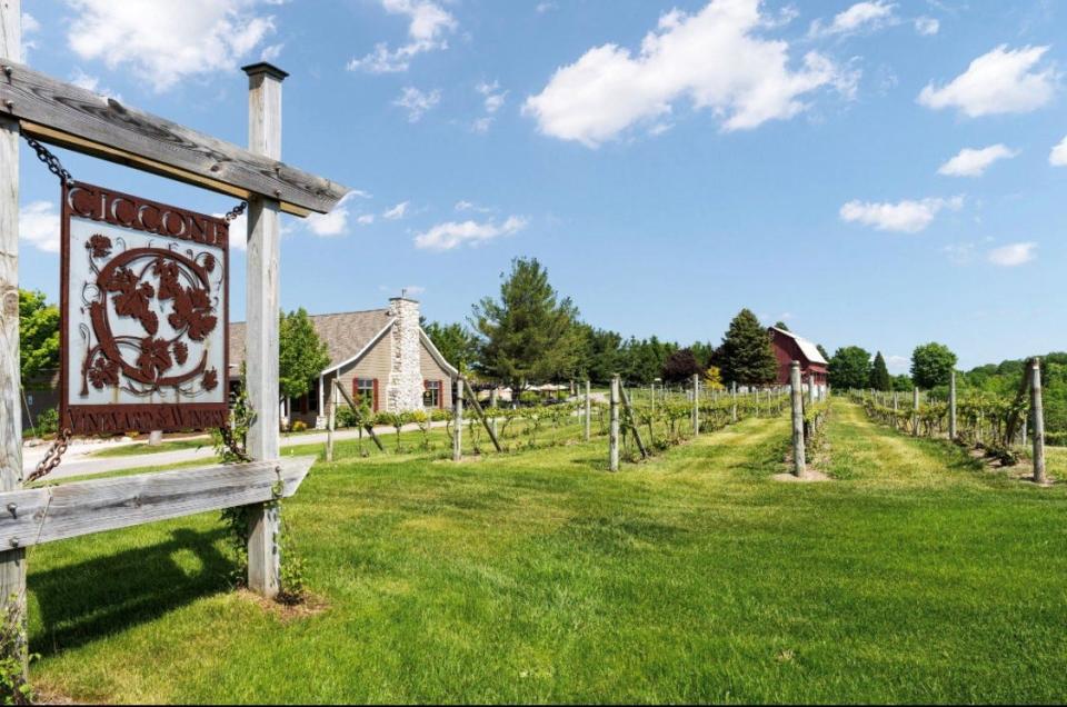 Ciccone Vineyard and Winery, owned by pop singer Madonna's family, is an estate with unobstructed views of Grand Traverse Bay