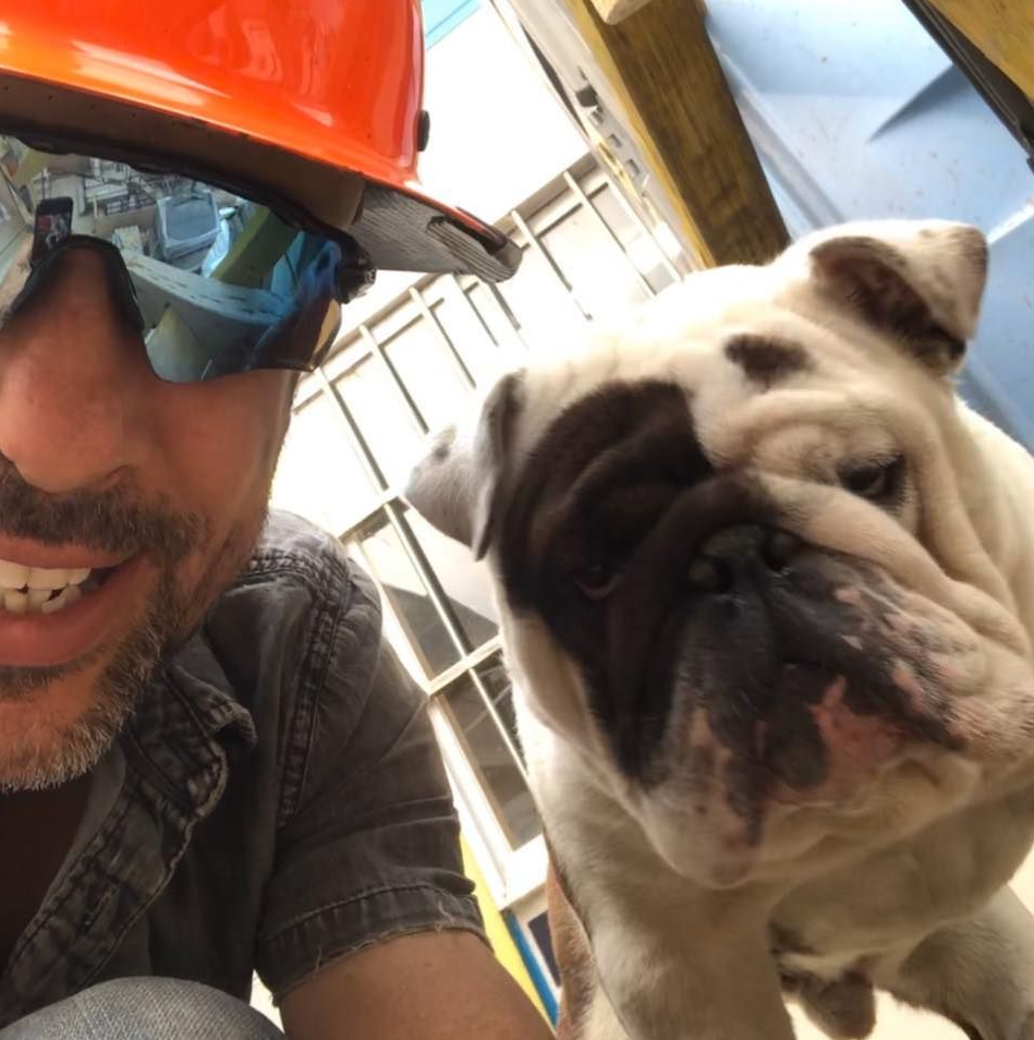 Anthony Balletta's bulldog Frank died during a Qantas flight. Source: Facebook/Anthony Balletta