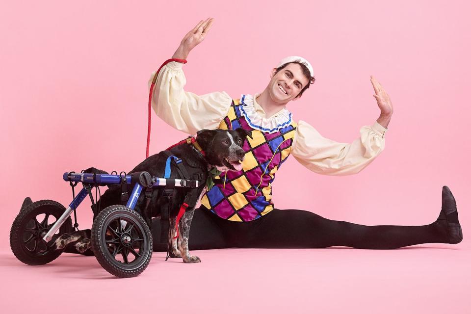 <p>Dancers & Dogs </p> Owen the dog posing with a Nutcracker performer from the St. Louis Ballet for the Stray Rescue of St. Louis