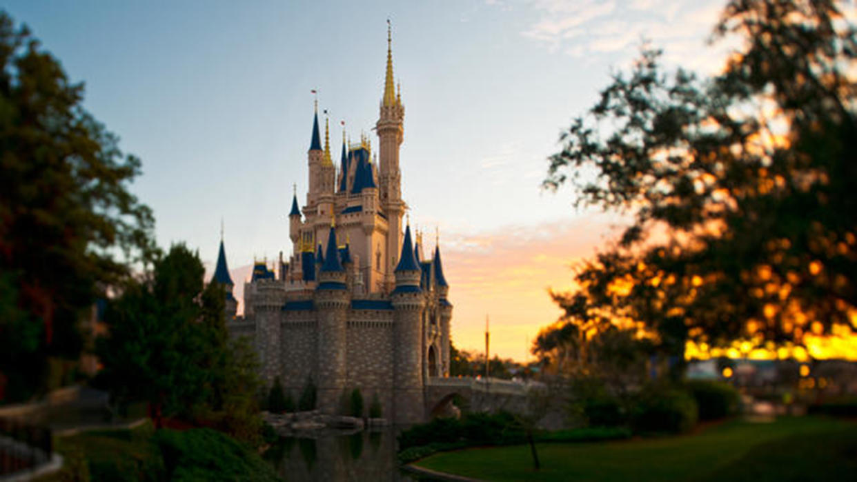 Magic Kingdom: Disney World (Disneyworld)