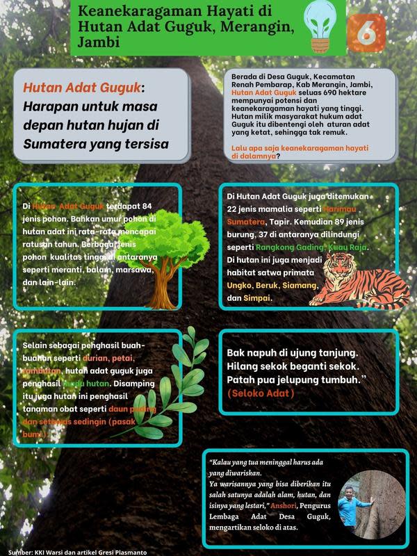 Infografis keragaman hayati Hutan Adat Guguk. (Liputan6.com/Gresi Plasmanto)