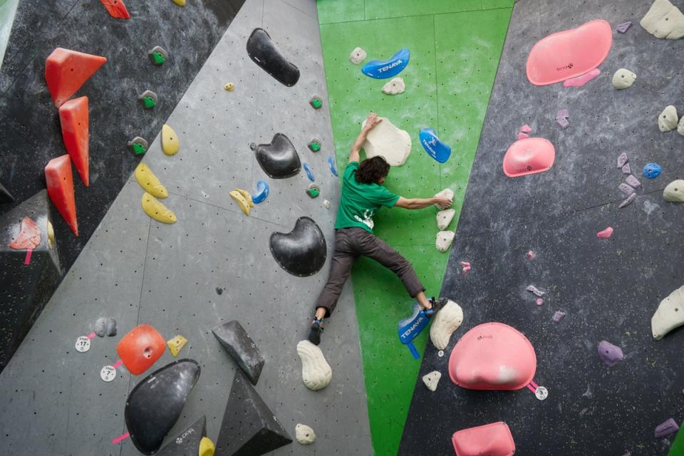 The climbing wall at Mile End Park (Matt Writtle)