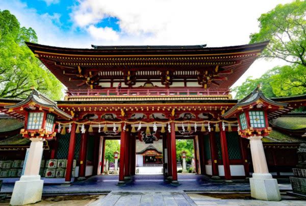 新片速報 日本神社超靚 繡球花池 夏日限定風景twitter熱傳