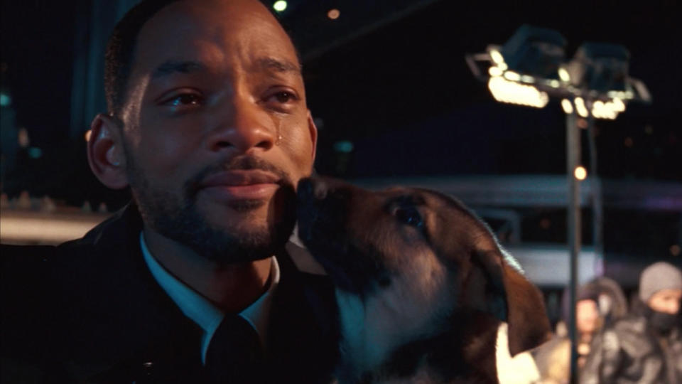 Somber Will Smith getting licked by a puppy in I Am Legend.