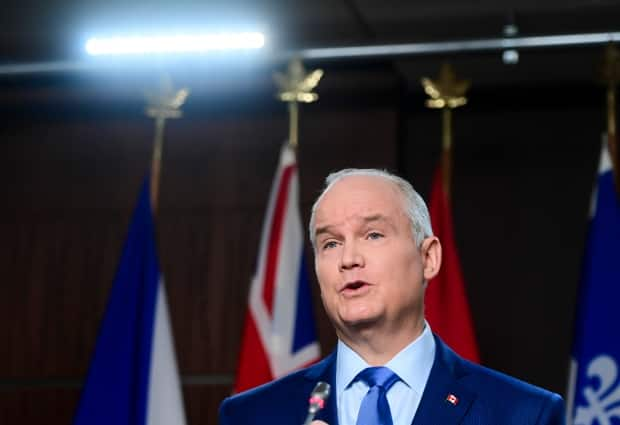 Conservative Leader Erin O'Toole says he will vote against a bill introduced by a member of his party that would make performing a sex-selective abortion a criminal offence. (Adrian Wyld/The Canadian Press - image credit)