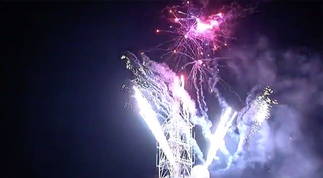 Many pets can't cope with the loud bangs of fireworks. Source: 7 News