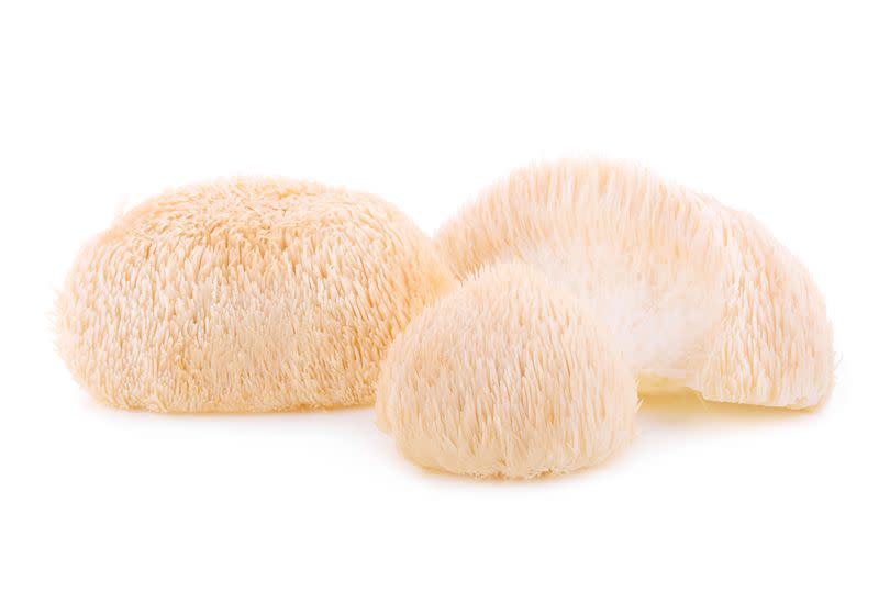 Lion mane mushroom isolated on white background