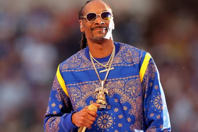 pro bowl snoop