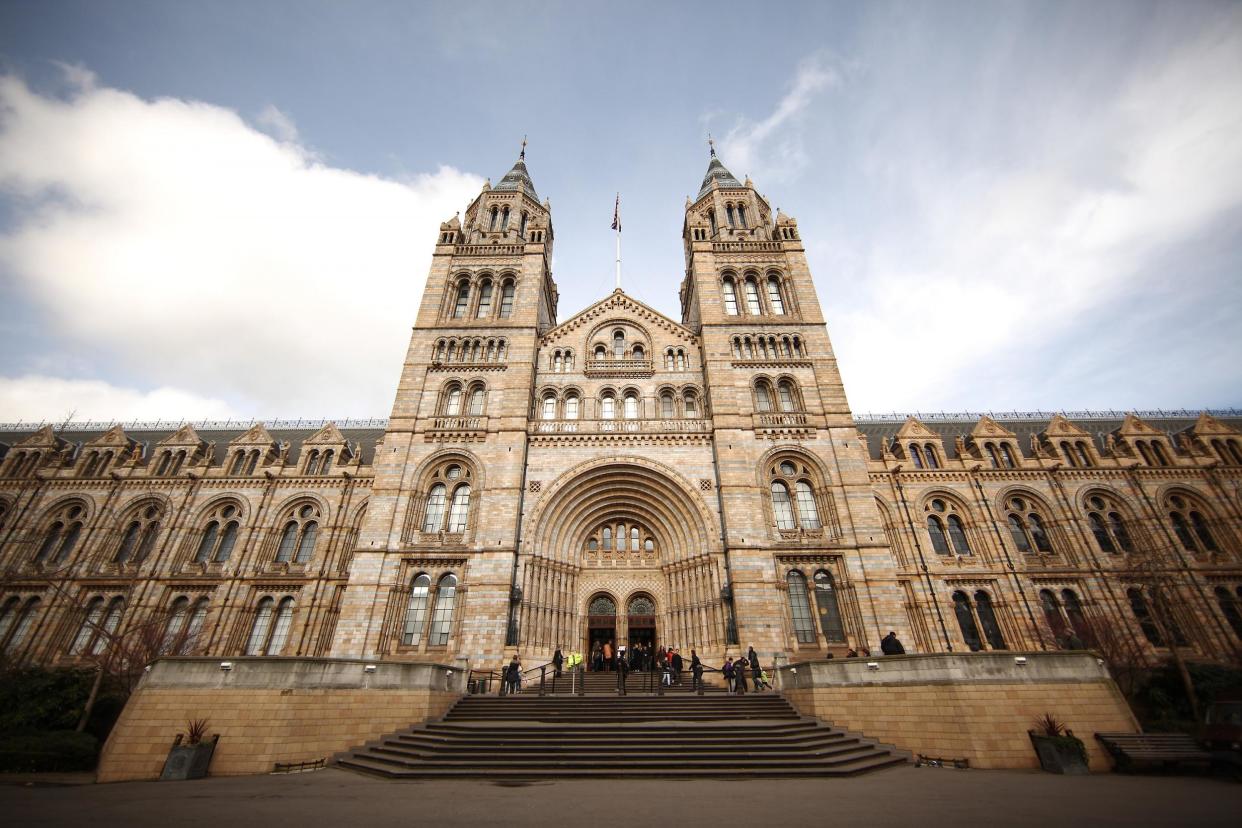 Top attraction: the Natural History Museum: Getty Images