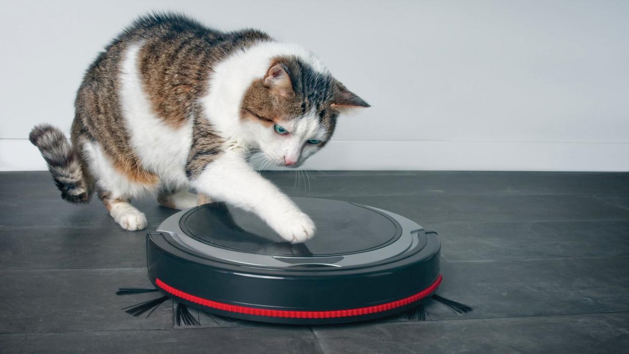 The best robot vacuum for pet hair of 2020.