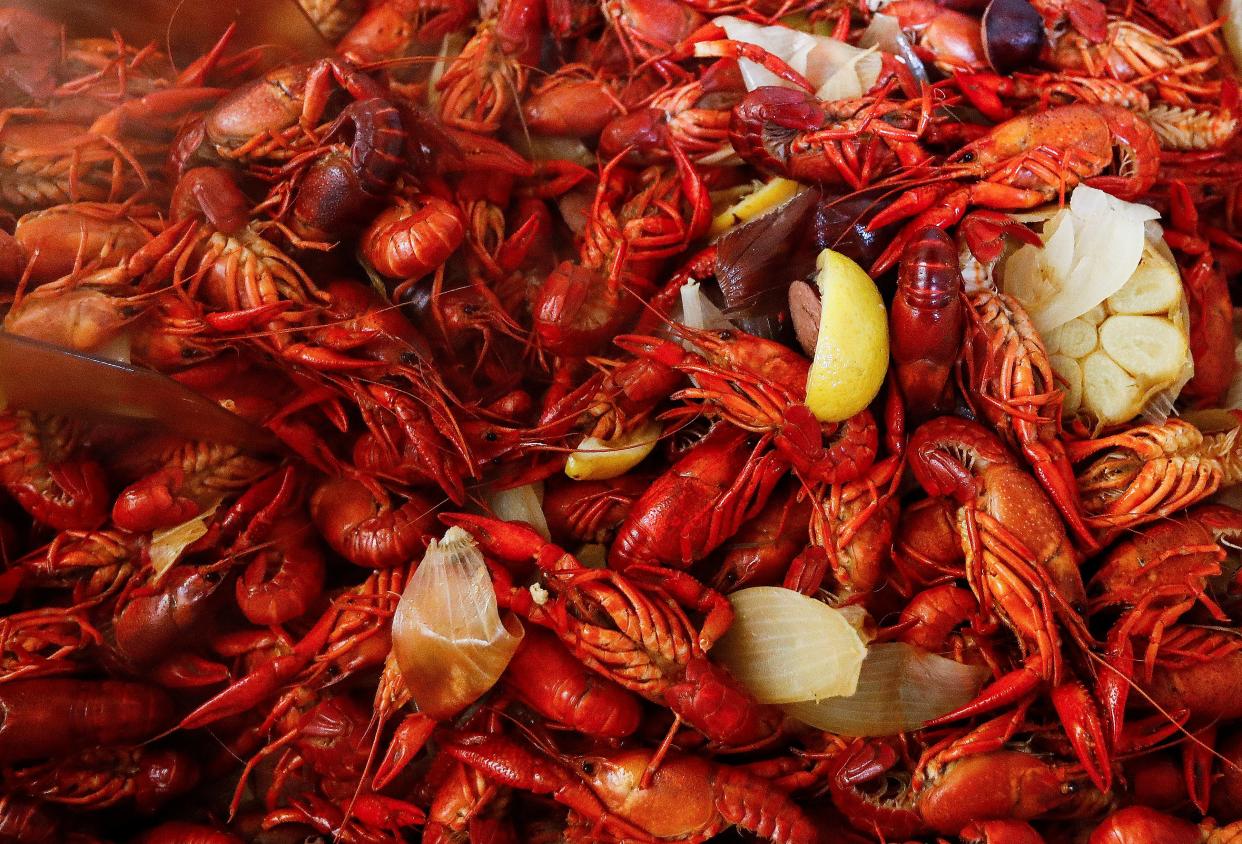 Cooked crawfish from Cajun Crawdad's food truck on Hwy. 72 at Cayce Rd. in Byhalia, MS.