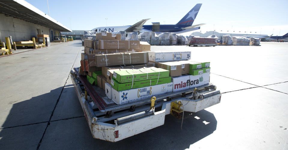 In this Jan. 9, 2014 photo, a load of flowers is rushed to a cooling unit at the Miami International Airport. In the weeks leading up to Valentine's Day, about 738 million flowers come through the airport. (AP Photo/J Pat Carter)