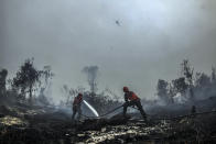 Fire fighters spray water to extinguish forest fire in Kampar, Riau province, Indonesia, Wednesday, Sept.18, 2019. Forest fires have razed hundreds of thousands of hectares of land in Sumatra and Borneo island, spreading a thick, noxious haze around Southeast Asia. (AP Photo/Rafka Majjid)