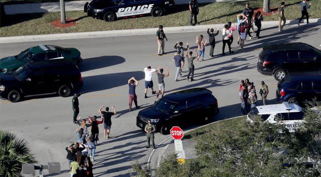 Ms Cornelis' post came in the wake of a deadly shooting at Marjory Stoneman Douglas High School. Photo: AP