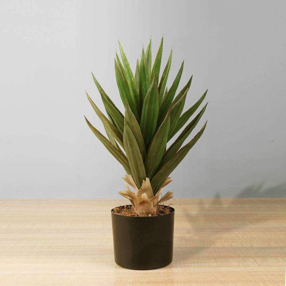 <p>artiplanto.com</p><p><strong>$114.00</strong></p><p><a href="https://www.artiplanto.com/collections/artificial-plants-canada-us-only/products/aloa-aloe-tree-20-artificial-potted-plant-artiplanto" rel="nofollow noopener" target="_blank" data-ylk="slk:Shop Now" class="link ">Shop Now</a></p><p>If you've already got a tube of the stuff in your medicine cabinet, opt for a fake aloe plant.</p>